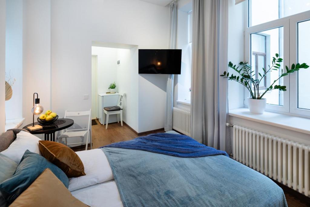 Kalnina Street Studio Apartment 里加 外观 照片
