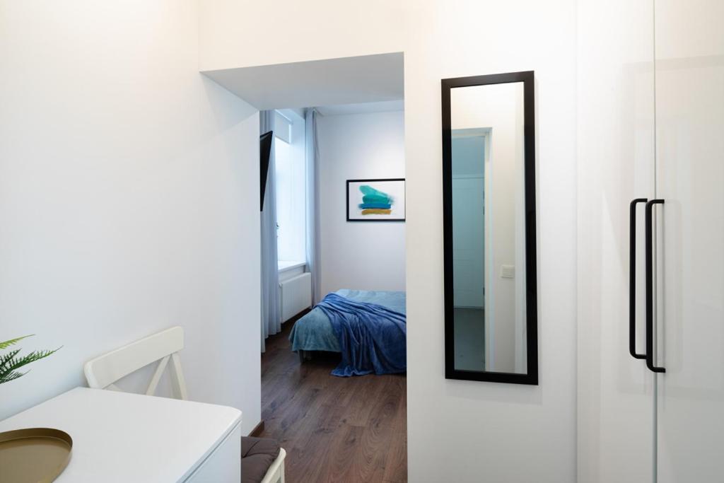 Kalnina Street Studio Apartment 里加 外观 照片