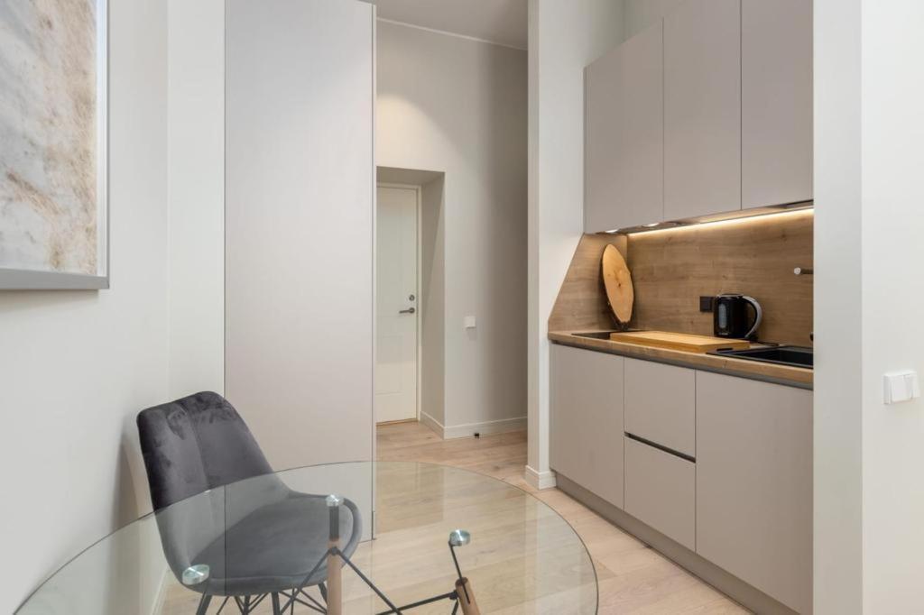 Kalnina Street Studio Apartment 里加 外观 照片