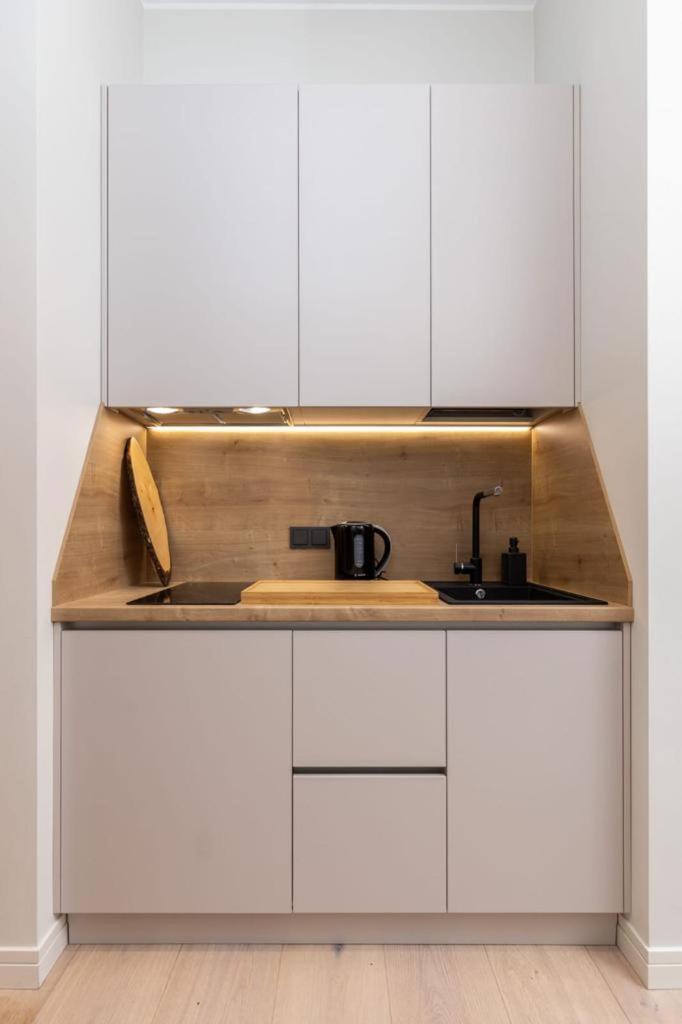 Kalnina Street Studio Apartment 里加 外观 照片