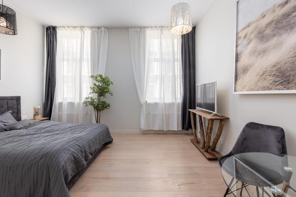 Kalnina Street Studio Apartment 里加 外观 照片