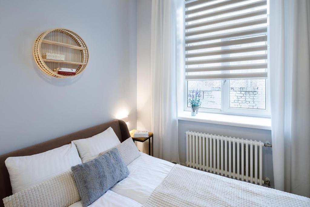 Kalnina Street Studio Apartment 里加 外观 照片