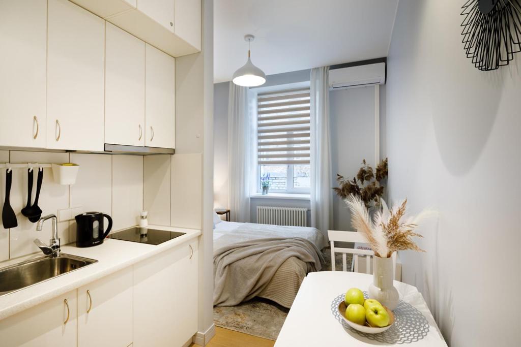 Kalnina Street Studio Apartment 里加 外观 照片
