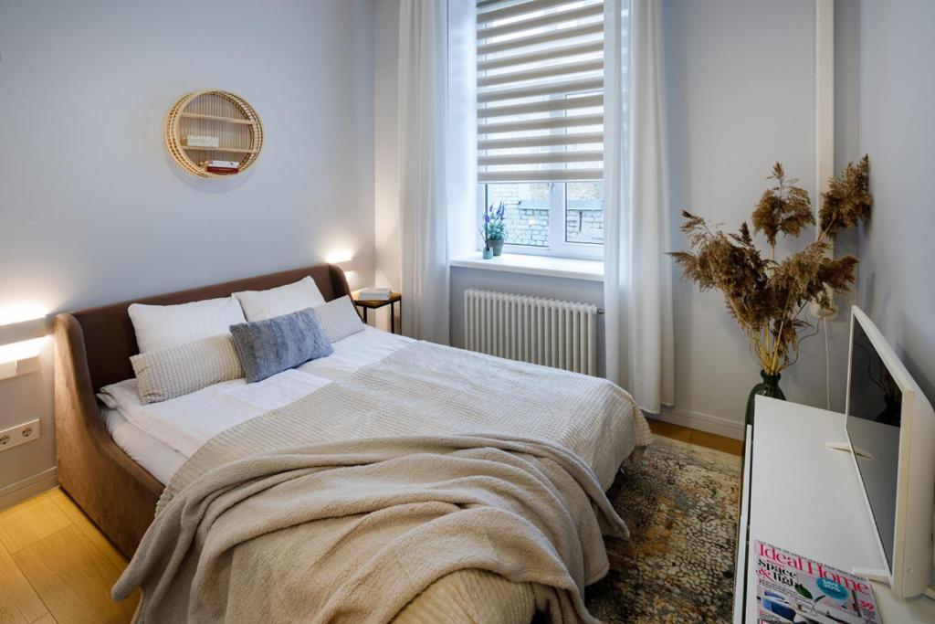 Kalnina Street Studio Apartment 里加 外观 照片