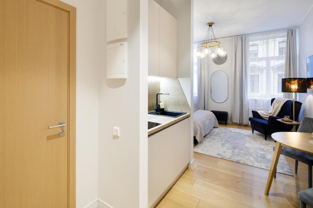 Kalnina Street Studio Apartment 里加 外观 照片