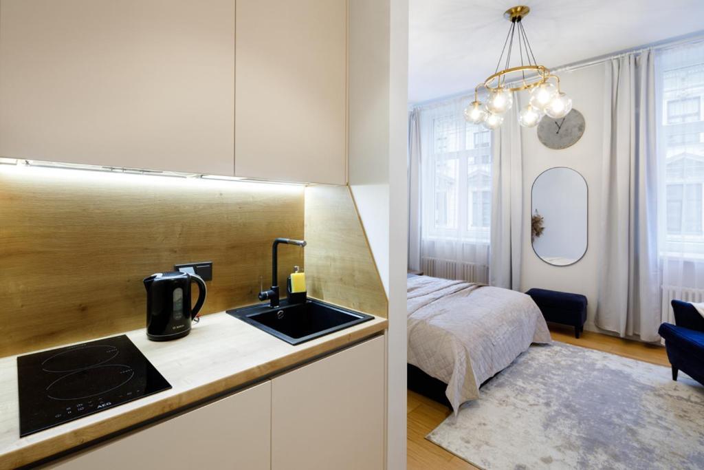 Kalnina Street Studio Apartment 里加 外观 照片